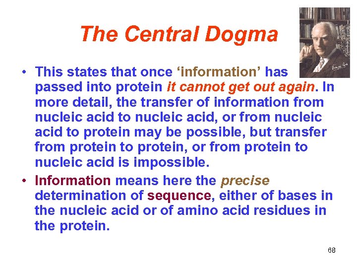 The Central Dogma • This states that once ‘information’ has passed into protein it