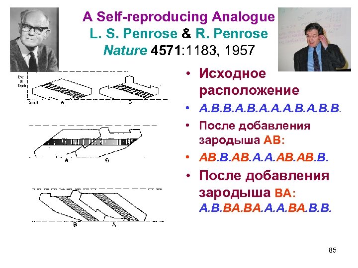 A Self-reproducing Analogue L. S. Penrose & R. Penrose Nature 4571: 1183, 1957 •