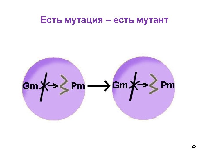 Есть мутация – есть мутант 88 