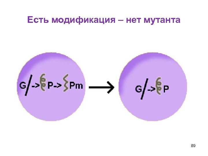 Есть модификация – нет мутанта 89 