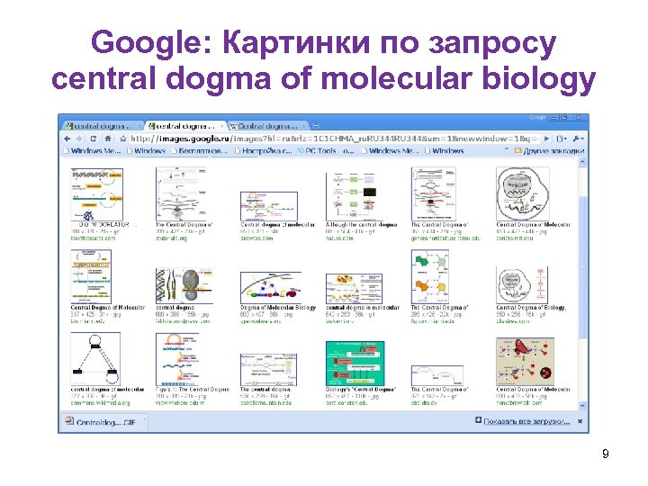 Google: Картинки по запросу central dogma of molecular biology 9 