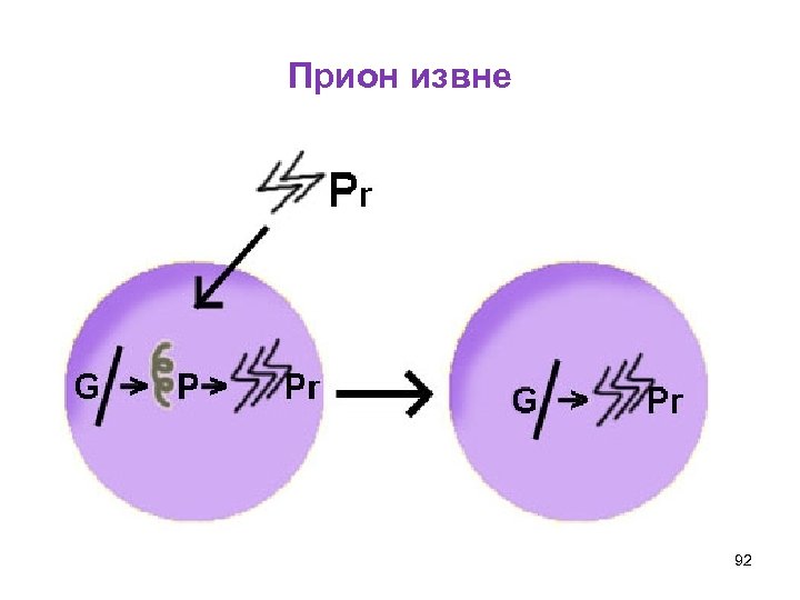 Прион извне 92 