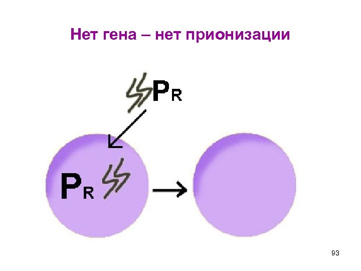 Нет гена – нет прионизации 93 