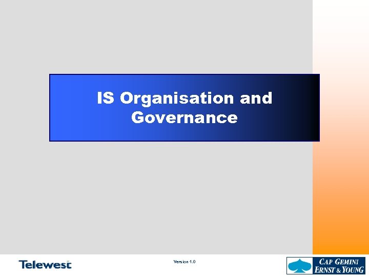 IS Organisation and Governance Version 1. 0 