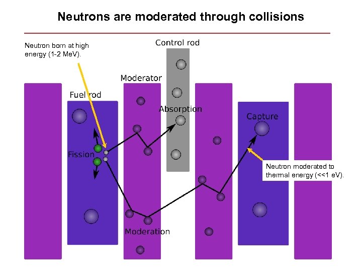 Neutrons are moderated through collisions Neutron born at high energy (1 -2 Me. V).