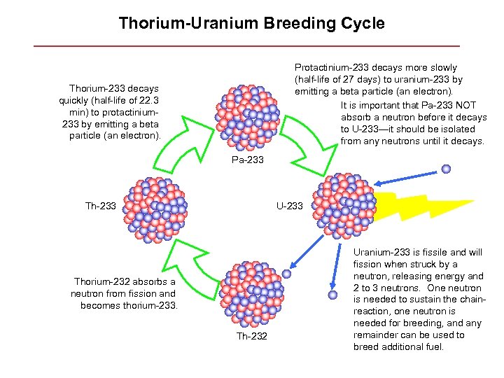 Thorium-Uranium Breeding Cycle Protactinium-233 decays more slowly (half-life of 27 days) to uranium-233 by