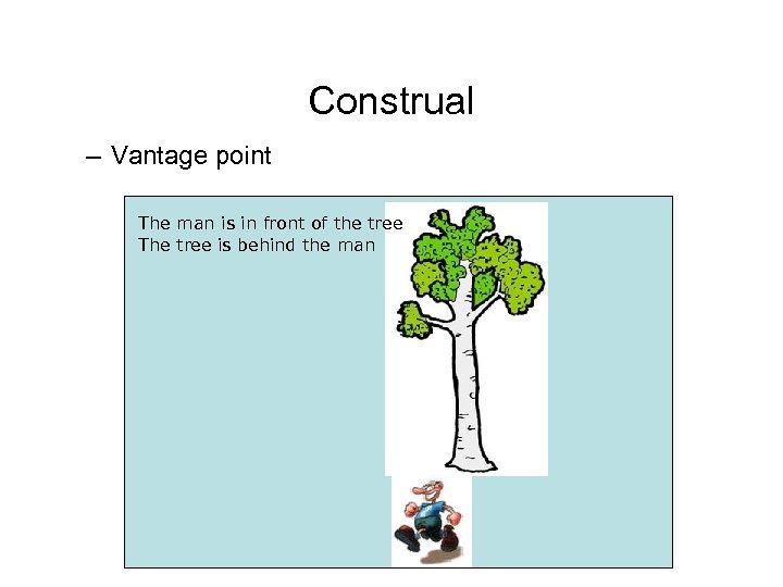Construal – Vantage point The man is in front of the tree The tree