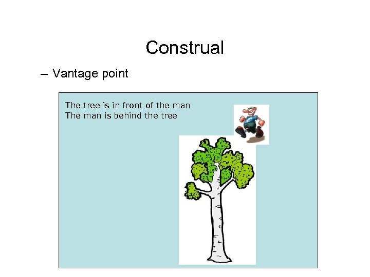 Construal – Vantage point The tree is in front of the man The man