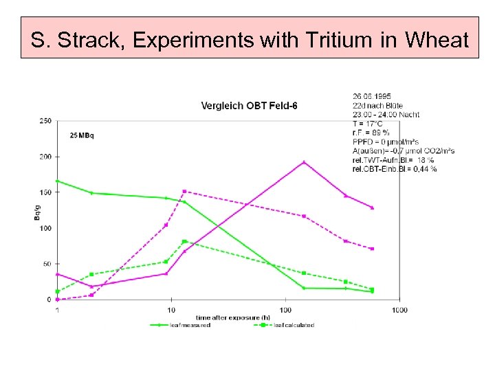 S. Strack, Experiments with Tritium in Wheat 