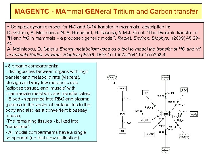 MAGENTC - MAmmal GENeral Tritium and Carbon transfer • Complex dynamic model for H-3