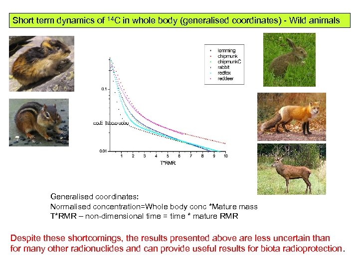 Short term dynamics of 14 C in whole body (generalised coordinates) - Wild animals
