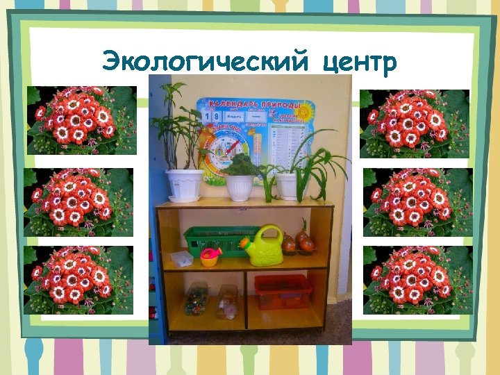 Экологический центр 