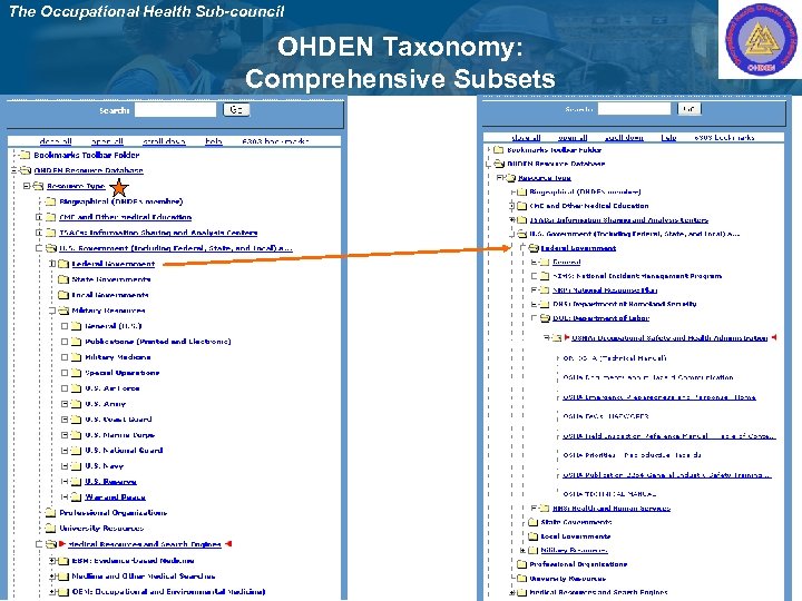 The Occupational Health Sub-council OHDEN Taxonomy: Comprehensive Subsets 