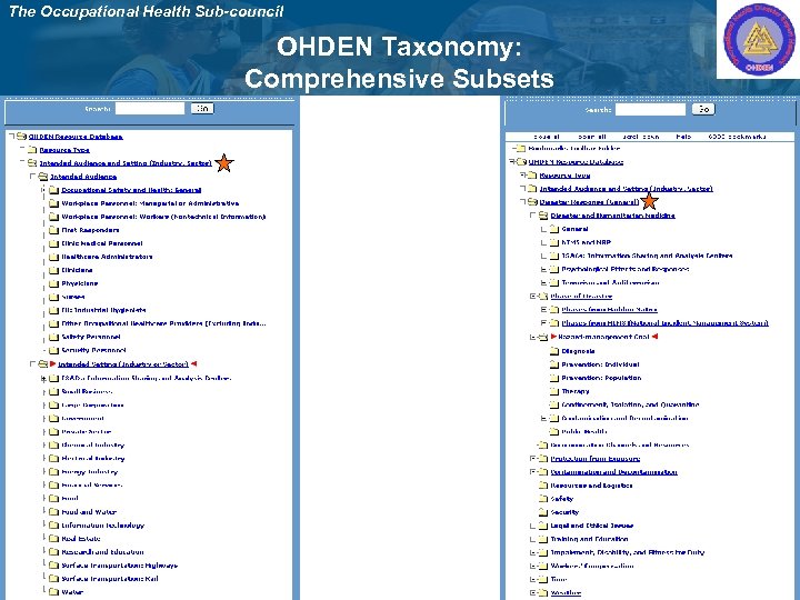 The Occupational Health Sub-council OHDEN Taxonomy: Comprehensive Subsets 