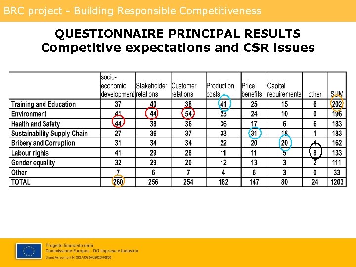 BRC project - Building Responsible Competitiveness QUESTIONNAIRE PRINCIPAL RESULTS Competitive expectations and CSR issues