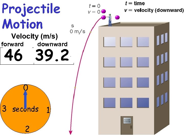 Projectile Motion Velocity (m/s) forward downward 46 29. 4 47 39. 2 48 19.