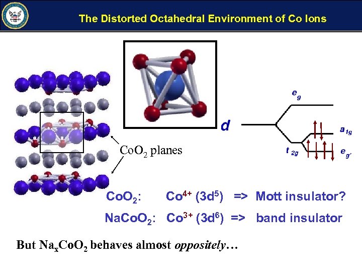 The Distorted Octahedral Environment of Co Ions Co. O 2 planes Co. O 2: