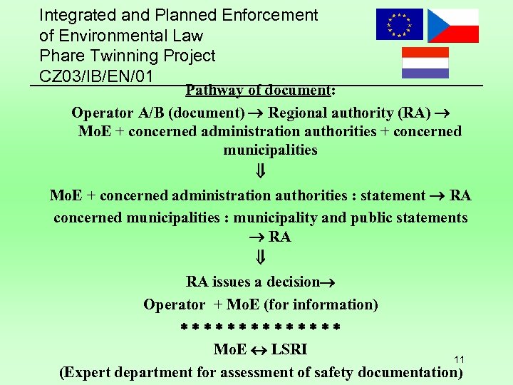 Integrated and Planned Enforcement of Environmental Law Phare Twinning Project CZ 03/IB/EN/01 Pathway of