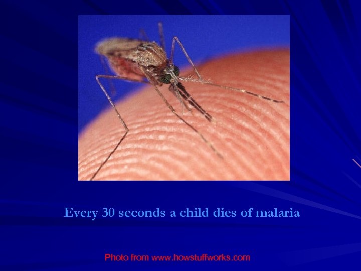 Every 30 seconds a child dies of malaria Photo from www. howstuffworks. com 