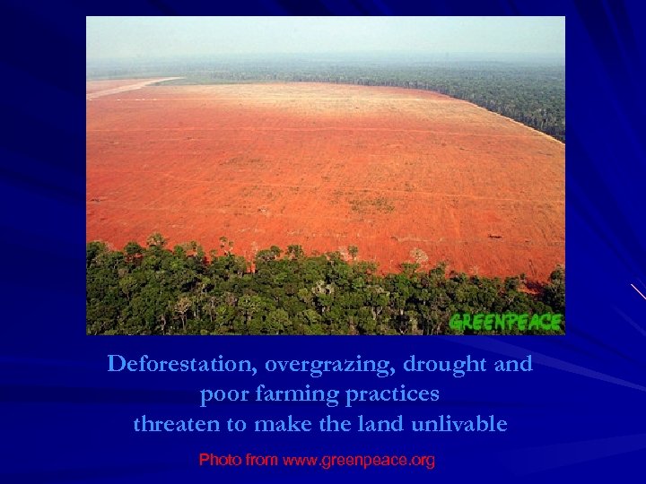 Deforestation, overgrazing, drought and poor farming practices threaten to make the land unlivable Photo