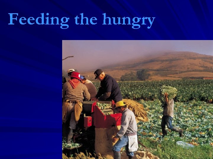 Feeding the hungry 