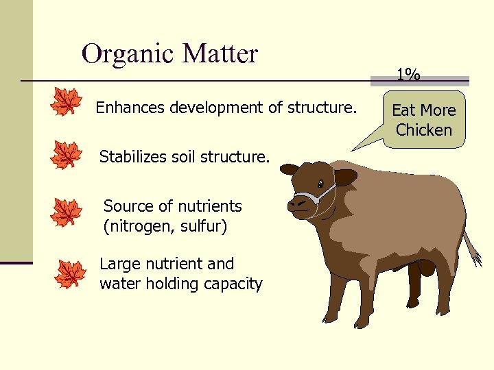 Organic Matter Enhances development of structure. Stabilizes soil structure. Source of nutrients (nitrogen, sulfur)