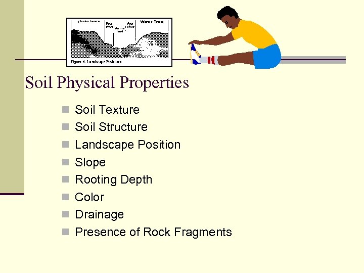 Soil Physical Properties n Soil Texture n Soil Structure n Landscape Position n Slope