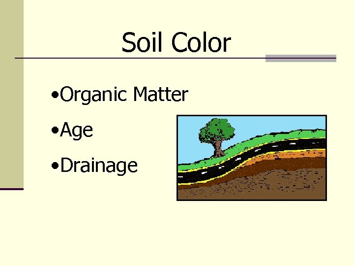 Soil Color • Organic Matter • Age • Drainage 