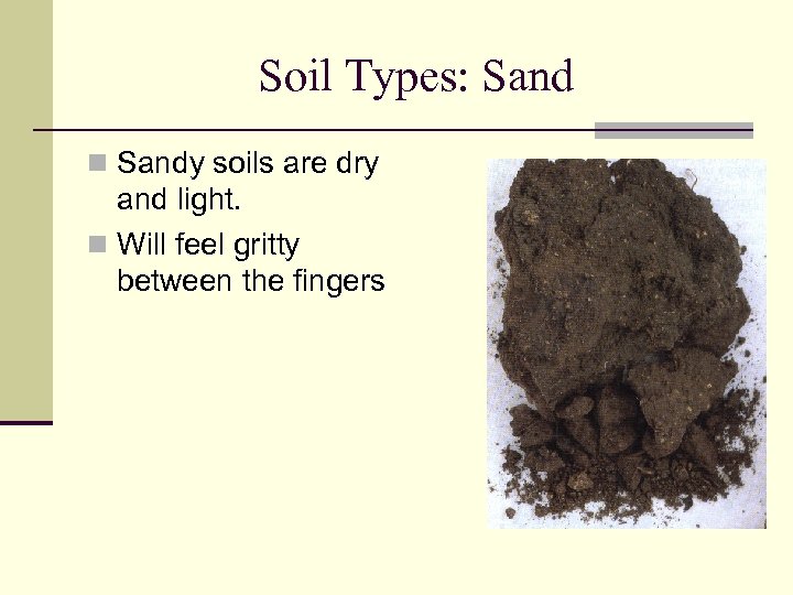 Soil Types: Sand n Sandy soils are dry and light. n Will feel gritty