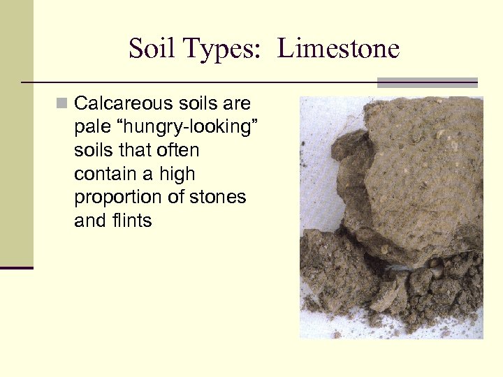 Soil Types: Limestone n Calcareous soils are pale “hungry-looking” soils that often contain a