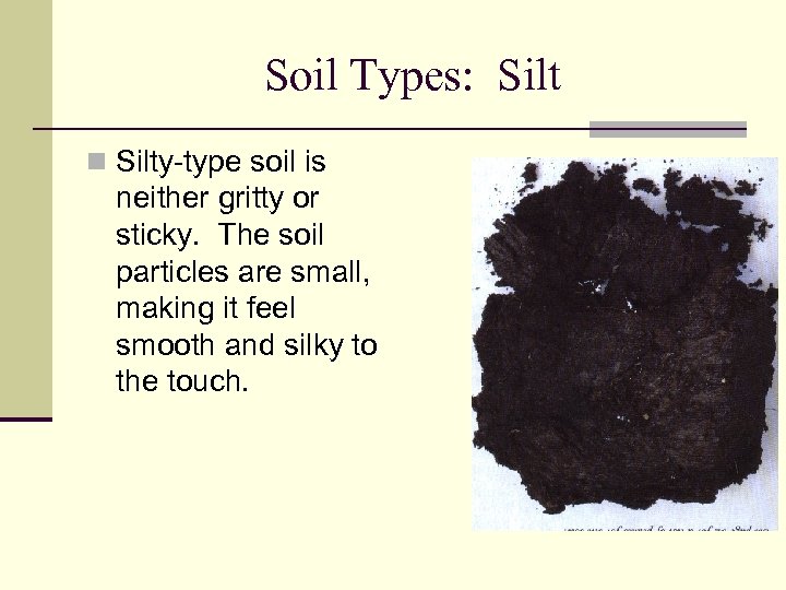 Soil Types: Silt n Silty-type soil is neither gritty or sticky. The soil particles