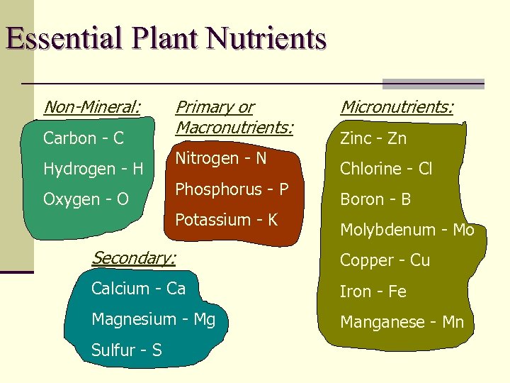 Essential Plant Nutrients Non-Mineral: Carbon - C Hydrogen - H Oxygen - O Primary