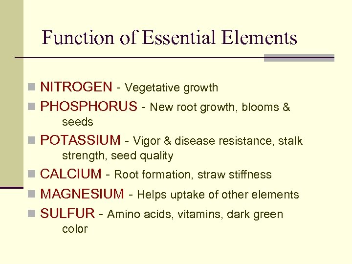 Function of Essential Elements n NITROGEN - Vegetative growth n PHOSPHORUS - New root