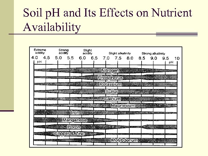 Soil p. H and Its Effects on Nutrient Availability 