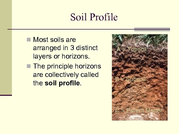 Soil Profile n Most soils are arranged in 3 distinct layers or horizons. n