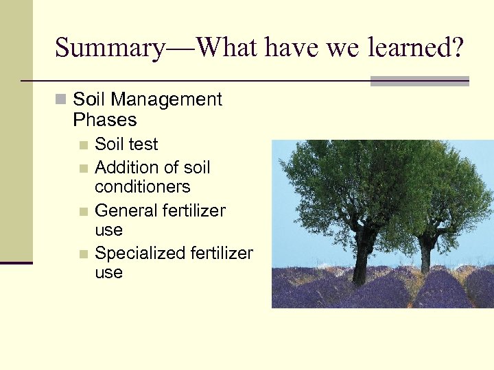 Summary—What have we learned? n Soil Management Phases Soil test n Addition of soil