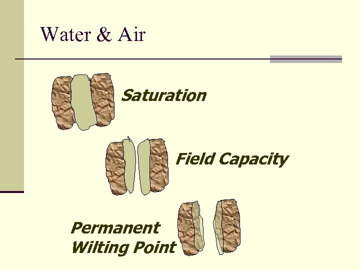 Water & Air Saturation Field Capacity Permanent Wilting Point 