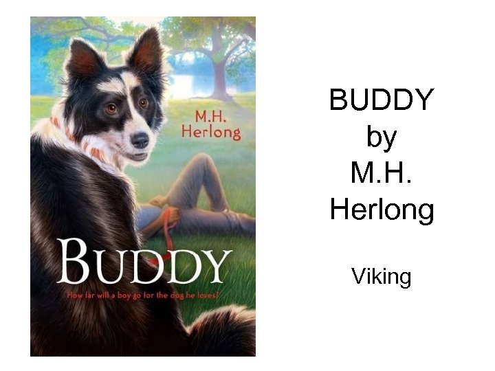 BUDDY by M. H. Herlong Viking 