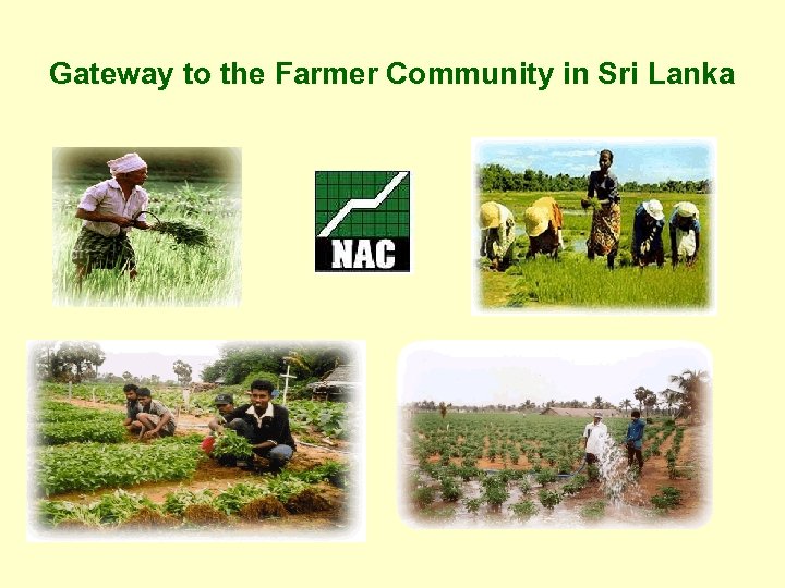 Gateway to the Farmer Community in Sri Lanka 