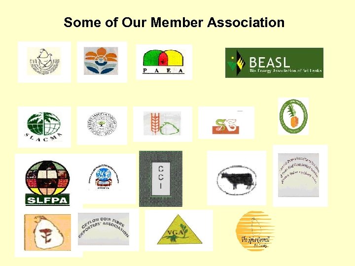 Some of Our Member Association 