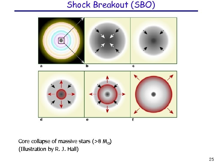 Shock Breakout (SBO) Core collapse of massive stars (˃8 M⊙) (Illustration by R. J.