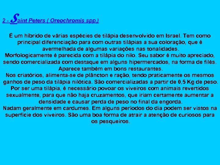 2 - Saint Peters ( Oreochromis spp. ) É um híbrido de várias espécies