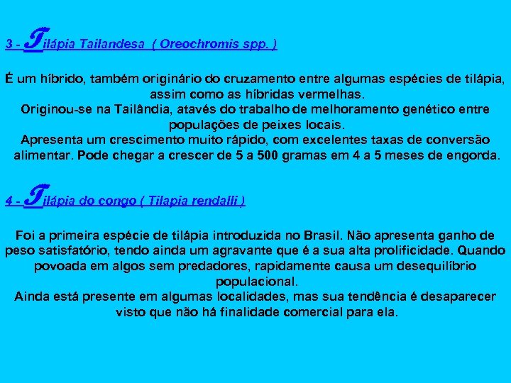 3 - Tilápia Tailandesa ( Oreochromis spp. ) É um híbrido, também originário do