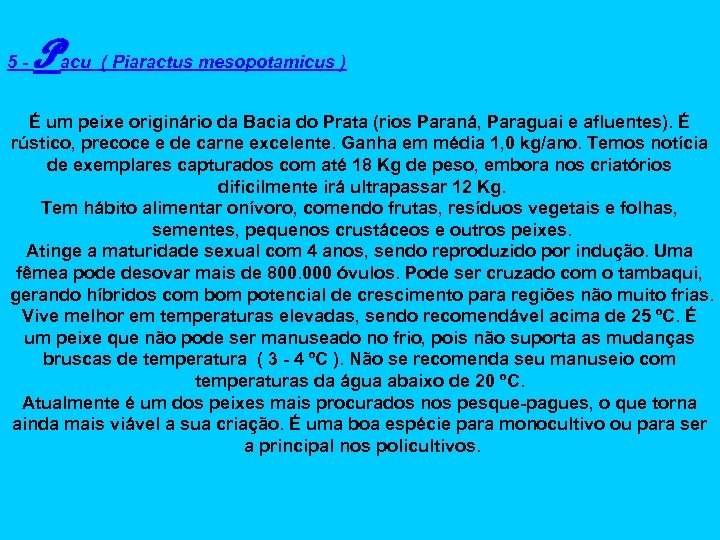 5 - Pacu ( Piaractus mesopotamicus ) É um peixe originário da Bacia do