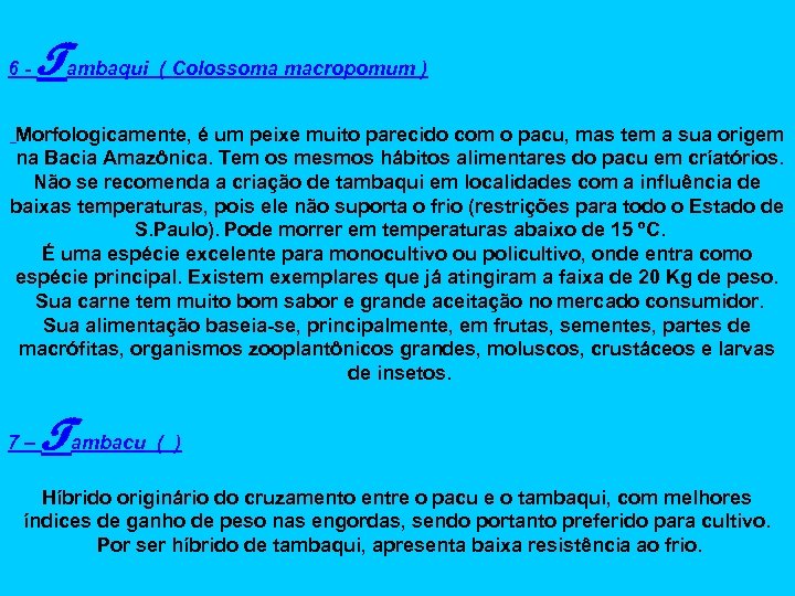 6 - Tambaqui ( Colossoma macropomum ) Morfologicamente, é um peixe muito parecido com