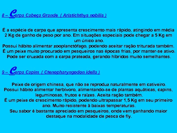 8– Carpa Cabeça Grande ( Aristichthys nobilis ) É a espécie de carpa que