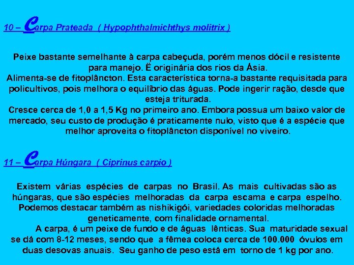 10 – Carpa Prateada ( Hypophthalmichthys molitrix ) Peixe bastante semelhante à carpa cabeçuda,