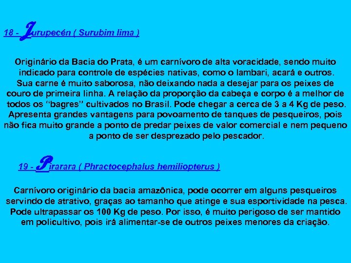 18 - Jurupecén ( Surubim lima ) Originário da Bacia do Prata, é um