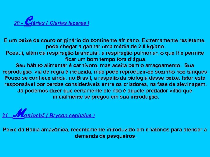 20 - Clárias ( Clarias lazarea ) É um peixe de couro originário do