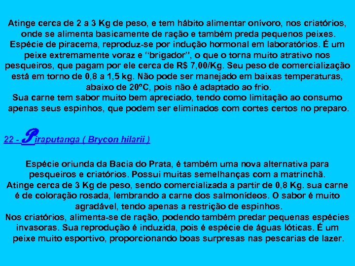 Atinge cerca de 2 a 3 Kg de peso, e tem hábito alimentar onívoro,